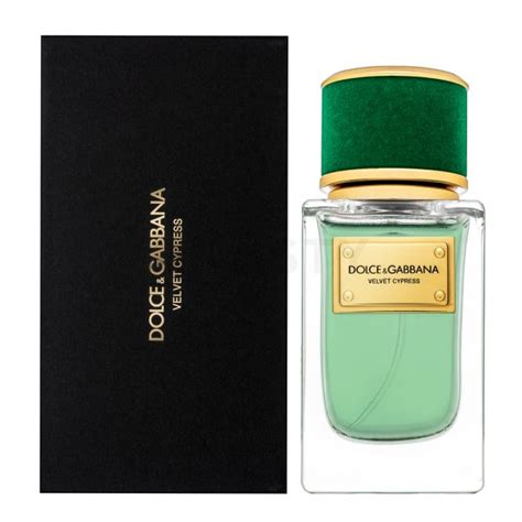 dolce gabbana perfume velvet cypress|dolce gabbana unisex.